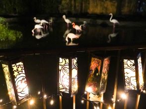 八木山動物公園で恒例の夜間開園始まる　動物の「ディナー」や「うんこ展」も