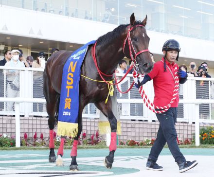 【注目馬動向】藤田晋オーナー所有のメタマックスはＢＣスプリント参戦を視野に