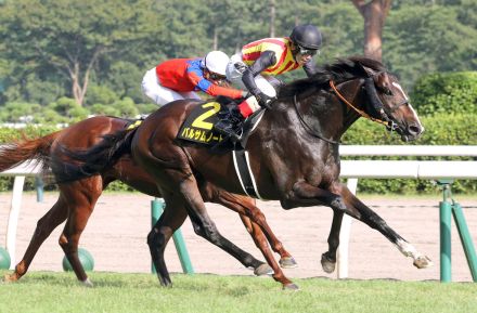 【新潟１１Ｒ・朱鷺Ｓ】バルサムノートがリステッド２勝目　松岡正海騎手「返し馬で勝てると思った」