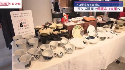 ネコたちの幸せを願ってチャリティーイベント　グッズの販売で保護ネコの支援へ　秋田