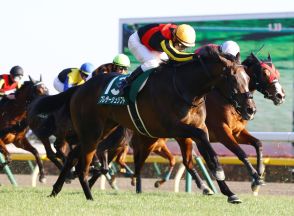 プレサージュリフトの競走馬登録抹消