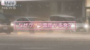 頻発するゲリラ雷雨…なぜ？“日本は亜熱帯化”指摘も