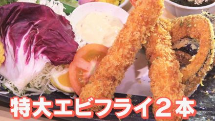 1日10食限定の特大エビフライランチがコスパ抜群！？愛知県みよし市のお値打ちグルメを調査