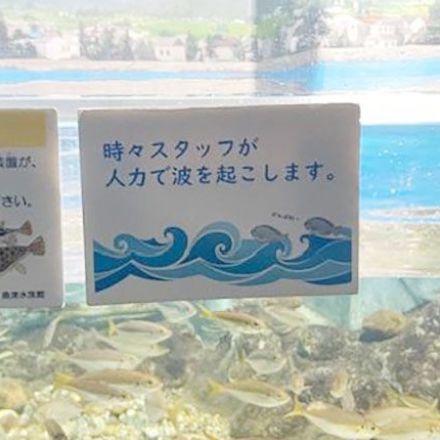 人力で波を起こす魚津水族館、再びバズる　造波装置は故障のまま「いっそ、直さない方がいいのかも」