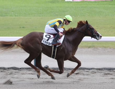 モカラマーズ直線抜け出しＶ　直線遊ぶ余裕も「まだまだこれからの馬」横山武騎手／新馬戦