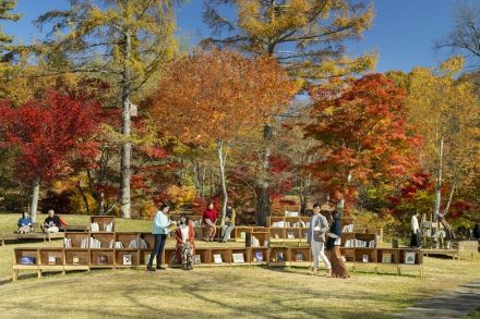 紅葉と読書の秋を満喫　自分だけの読書スペース「紅葉図書館」