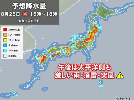 午前から日本海側で滝のような雨を観測　午後は関東など太平洋側でもゲリラ雷雨に注意