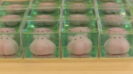 「めっちゃ泳いでいるw」生成AIで動かした“練切のメンダコ”から目が離せない!実際はどんな和菓子なのか職人に聞いた