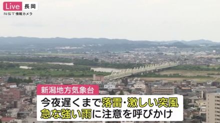 大気の状態が非常に不安定となる見込み　夜遅くにかけ落雷や激しい突風・急な強い雨などに注意を【新潟】