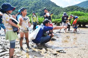 マングローブを探検　夏休み子ども自然観察会　奄美市住用町