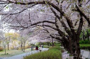 カメラを構えれば「特別な1枚」…ソウル市が誇る「魅力のフォトスポット」