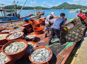 韓国南海岸の養殖被害拡大…前年に続きまた「最悪の年」になるか