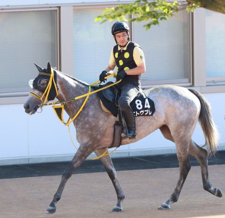 日曜札幌競馬場の注目激走馬…札幌１１Ｒキーンランドカップ・Ｇ３