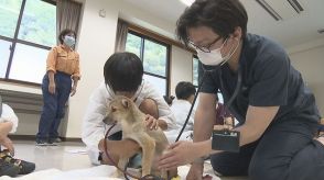 小学生が獣医の仕事を体験 命の大切さ学ぶ