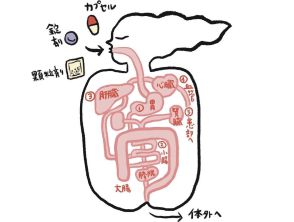 【40代、50代・薬と上手に付き合う方法③】花粉症は市販薬と処方薬どっちが得？（薬の豆知識）