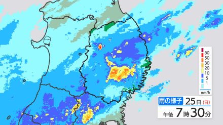 大雨と雷及び突風に関する岩手県気象情報