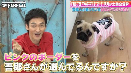 稲垣吾郎が元宝塚トップスターの愛犬に洋服をプレゼント！その行動に草なぎ剛、香取慎吾が驚愕