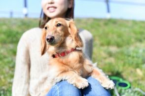 【都道府県別】平均年収と平均貯蓄額が一番高いのはどこ？ランキング形式で紹介