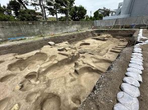 倉庫跡や墓跡か、中学校建設現場に中世の遺跡　鎌倉で３１日に見学会