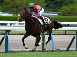 【小倉2歳S見どころ】勝ち時計優秀だったレイピアが連勝で重賞制覇なるか