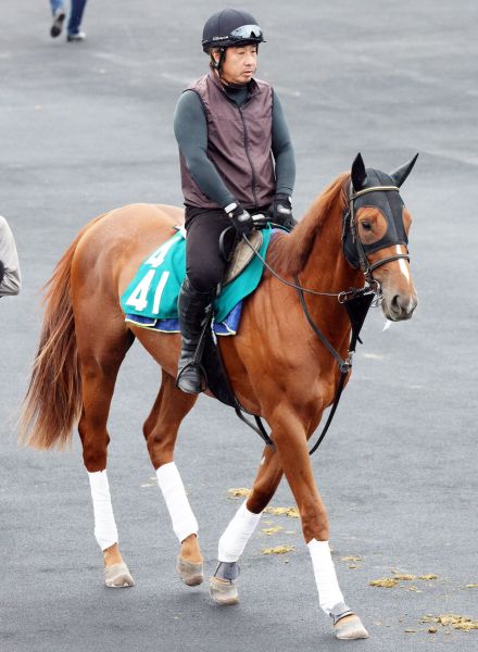 【札幌２歳Ｓ・松末の特注馬】キャリアの浅い２歳戦でアスクシュタインの経験値は大きな武器