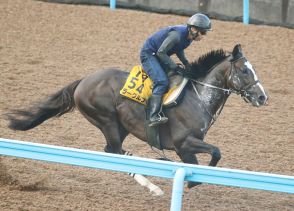 【新潟記念】久々の重賞Ｖを狙うラーグルフが良馬場で巻き返しへ　宗像調教師「ここ３走は雨馬場が影響」