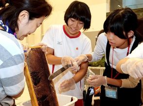 「街なか蜂蜜」あま～い　屋上でミツバチ飼育の富山市民プラザ、採取体験会に親子２７人