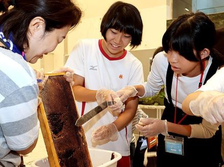 「街なか蜂蜜」あま～い　屋上でミツバチ飼育の富山市民プラザ、採取体験会に親子２７人