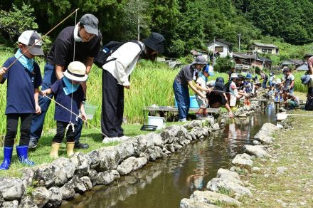 ザリガニ釣って地域保全　和歌山県田辺市本宮町