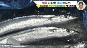 「悪いスパイラルに入っている」サンマや瀬戸内の海の幸　猛暑の影響は・・・