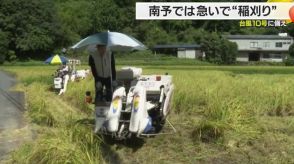 スケジュールを早めた　台風１０号南予では早めに稲刈り【愛媛】