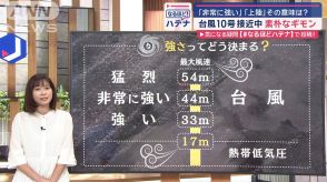 台風の素朴なギモン　どこまで知ってる？「非常に強い」「上陸しました」その意味は？