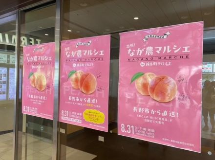 錦糸町・テルミナで「長野特産品マルシェ」　桃、りんご、ぶどうを産地直送