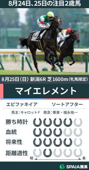 【注目2歳馬】エピファネイア産駒マイエレメントが好タイムで快勝　福永祐一厩舎は2歳新馬戦で初V達成