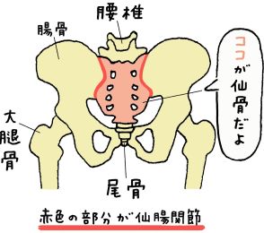 ハーバード大学客員教授の根来秀行ドクターが伝授！ 脳の老廃物を一掃する「呼吸仙骨体操」