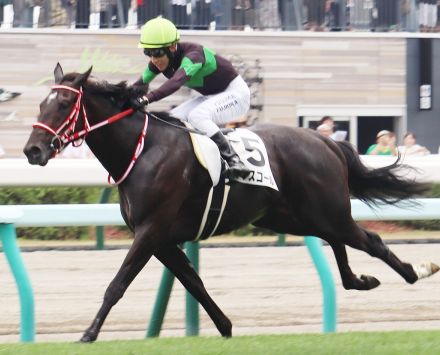 【札幌２歳Ｓ】新馬戦でソダシ超えのレコードで勝利したキングスコールは骨膜炎（ソエ）で回避