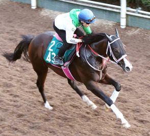 【小倉２歳Ｓ】前走レコード勝ちアーリントンロウ　初距離も松下調教師「スプリンターとして期待」