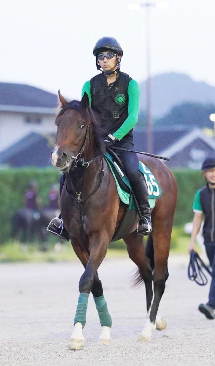 【小倉2歳S】レイピアは1週前に好時計　柴田助手「1200メートルはベストでしょうね」