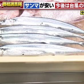 サンマ豊漁続き150円の大幅値下がり　マダイは台風の影響で漁獲量減り250円値上がり