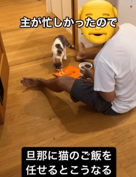 夫に飼い猫のご飯を任せると…妻が見た予想外の様子に「新しい遊び？」「初めて見る光景」の声