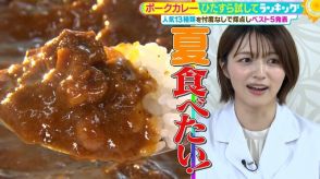 「ポークカレー」ひたすら試してランキング　清水アナは「神回！」と総括　話題の味が楽しめるカレーのスペシャリストも降参した1位は？【MBSサタデープラス（サタプラ）】