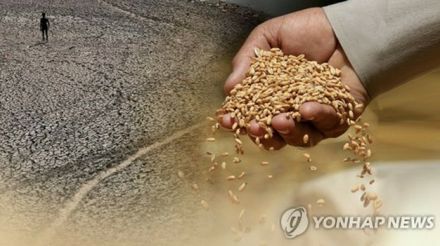 韓国　主要穀物の9割以上を輸入に依存＝食糧安保指数は日本・中国下回る