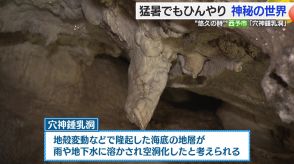 大自然が生み出した「穴神鍾乳洞」　外気温との差は約10度　歴史や生命を感じながら“涼”を楽しむ【愛媛発】