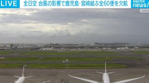 全日空 29日の鹿児島・宮崎を結ぶ全60便の欠航を発表