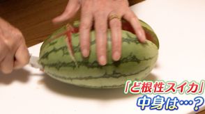 コンクリートの僅か数ミリの亀裂で育った「ど根性スイカ」勧められて食べてみた!果たして味は?【岡山・備前市】