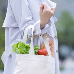 「私のエコバッグ雑菌だらけ…？」農水省も注意喚起のまさか！原因不明の食中毒に苦しめられる子持ち家族の実情