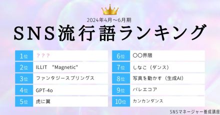 SNS流行語大賞、最新1位は“新たな映像文化”として大流行中の動画？【2024年2Q・ウェブ解析士協会調べ】