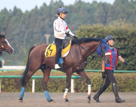 【新潟記念】キングズパレスが併せ馬で反応良く先着　松岡正海騎手「サマーチャンピオンがかかっている」