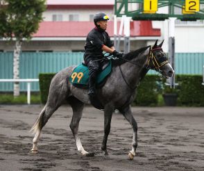 モンドデラモーレ上積み期待　千葉師「美浦にいる時と雰囲気変わらず賢い馬」／札幌２歳Ｓ