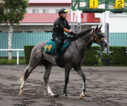 モンドデラモーレ上積み期待　千葉師「美浦にいる時と雰囲気変わらず賢い馬」／札幌２歳Ｓ